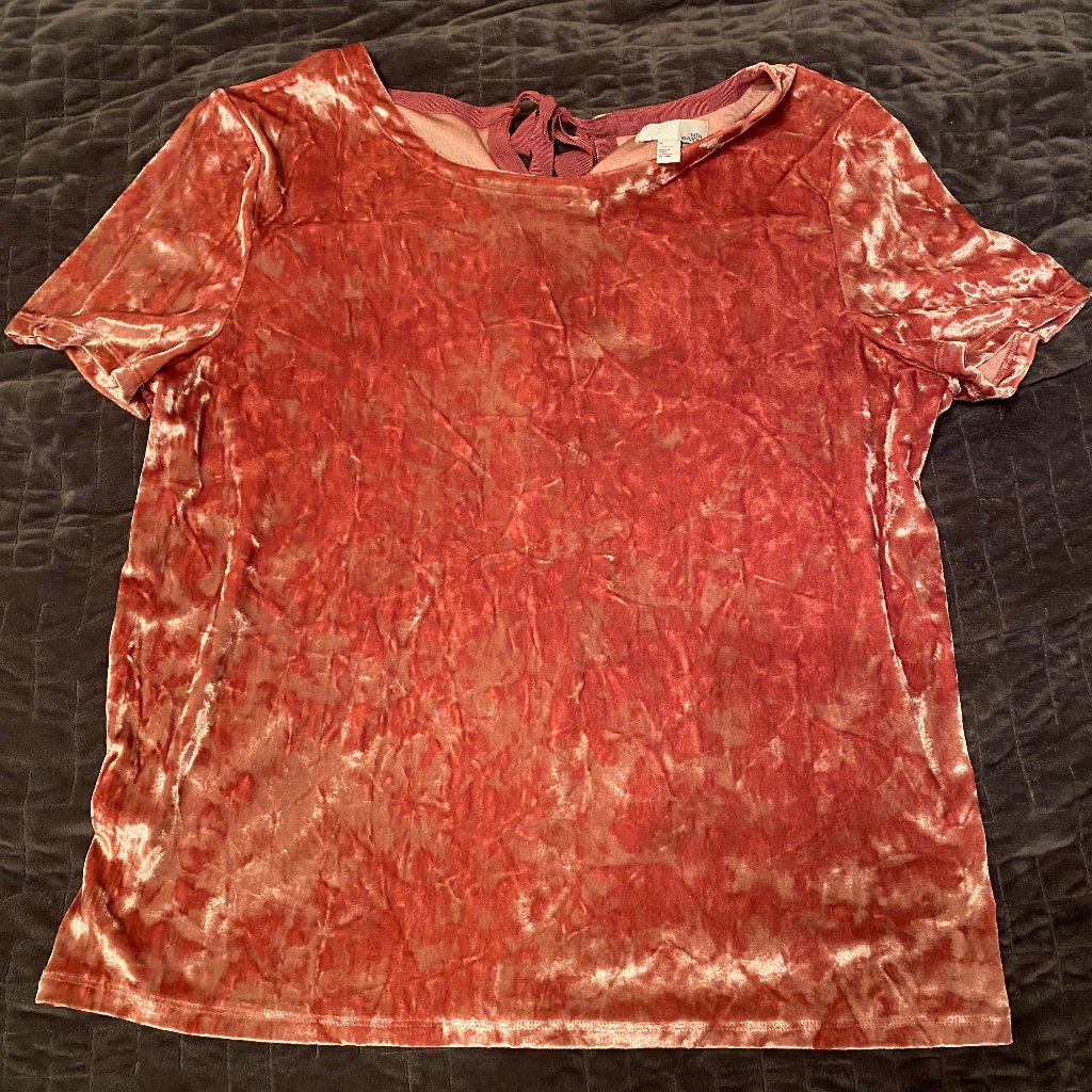 Pink Velour Blouse